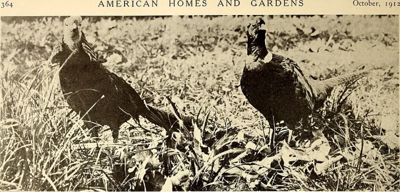 Your Garden's Climate Report Card: A DIY Guide to Measuring What You're Actually Growing Back