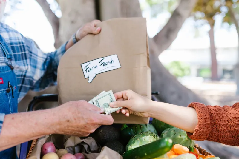 Follow the Dollar: What Farmers Actually Pocket When You Buy Direct