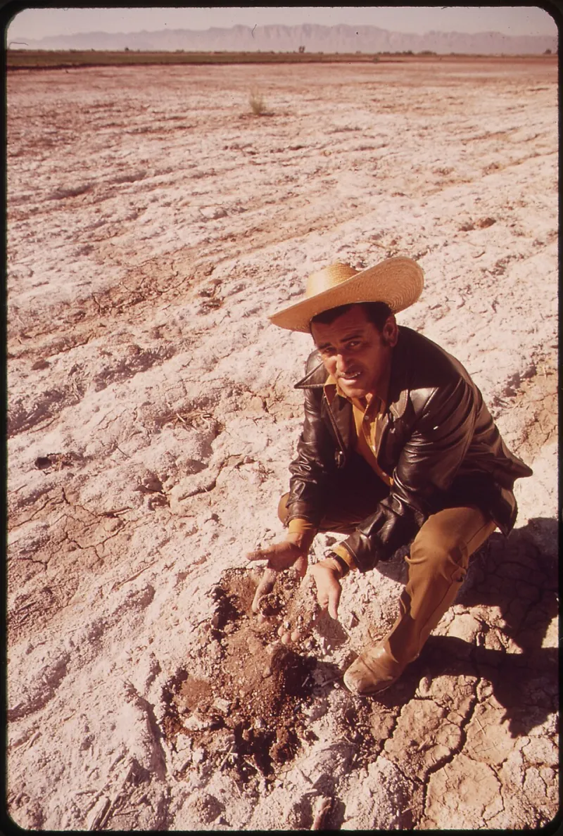 What's Living in Your Dirt? The Farmers Learning to Read Soil Like a Language